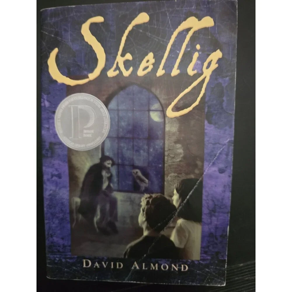 Skellig by David Almond Vintage Paperback